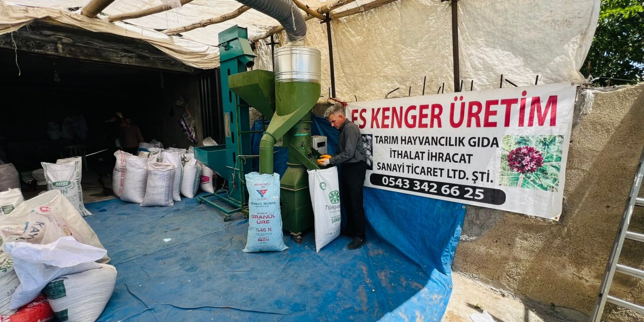 Yüksekova’da kenger çekirdeği için dünya pazarı hedefi