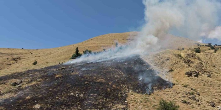 Bitlis’te çıkan örtü yangını söndürüldü