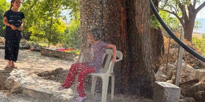 Hava sıcaklığına karşı çözümü ağaçtan sarkıttığı hortumdan akan suda buldu