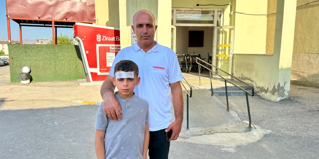Yüksekova’da köpek saldırısına uğrayan 10 yaşındaki çocuk yaralandı