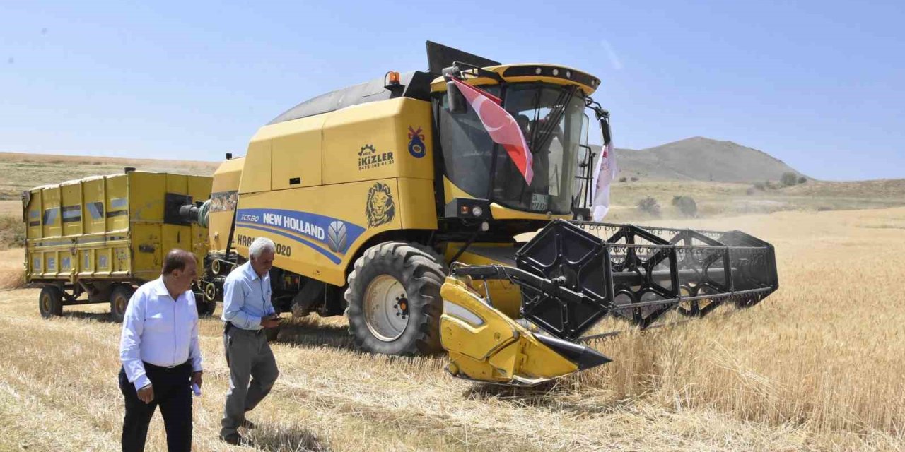 Bitlis'in Tatvan ilçesinde altın başaklar biçiliyor