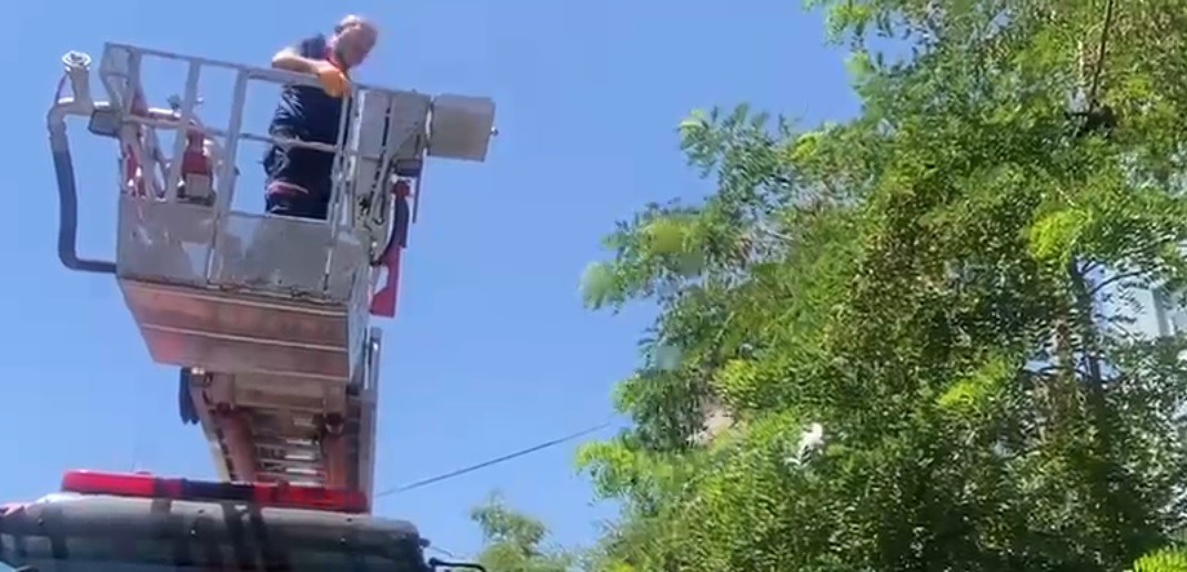 Ayağına dolanan ip kargayı mahsur bıraktı