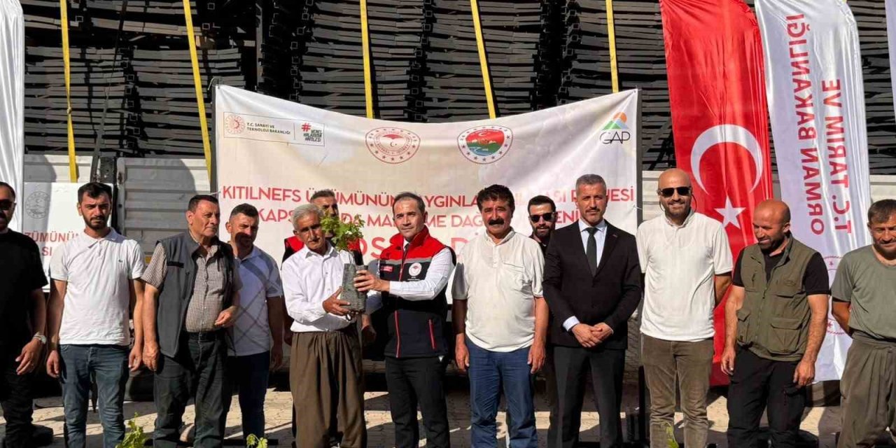 Şırnak’ta "kıtılnefs üzümü" için üreticilere ekipman ve fidan desteği
