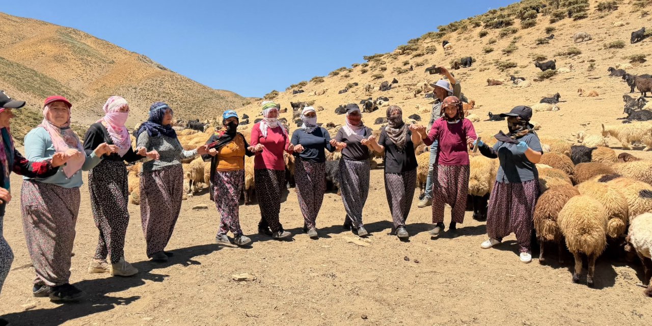 Yaylada süt sağımı sonrası halay çekerek stres atıyorlar