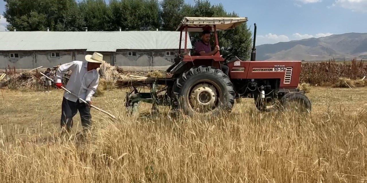 Yüksekova’da buğday hasadı mesaisi sürüyor