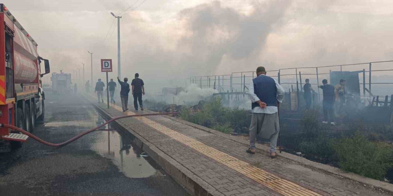 Anız yangını rüzgarın etkisiyle hayatı olumsuz etkiledi