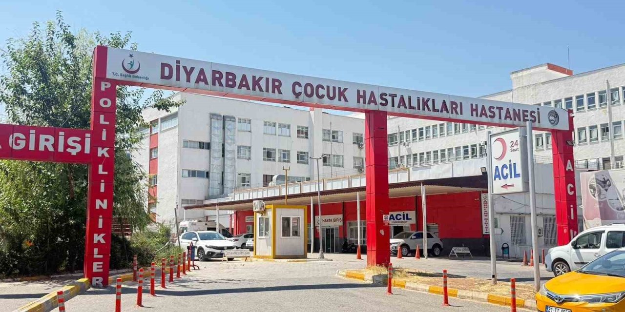 Diyarbakır’da kedinin ısırdığı çocuk entübe edildi