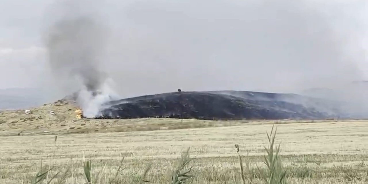 Ahlat-Tatvan yolunda otluk alanda yangın paniği