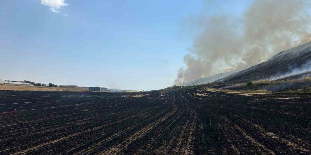 Bitlis’te örtü yangını: 400 dönüm alan küle döndü