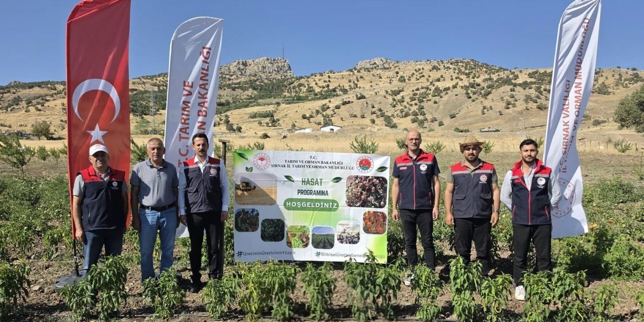 Şırnak’ta TAKE Projesi kapsamında sebze hasadı yapıldı