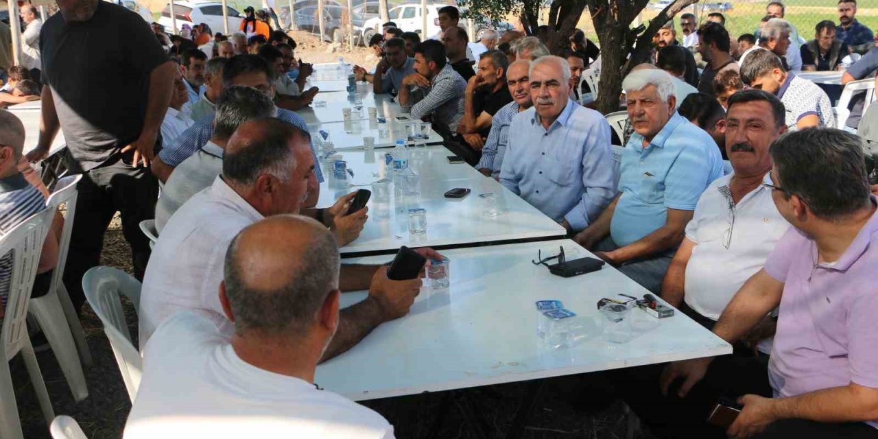 Narin Güran mezarı başında anıldı
