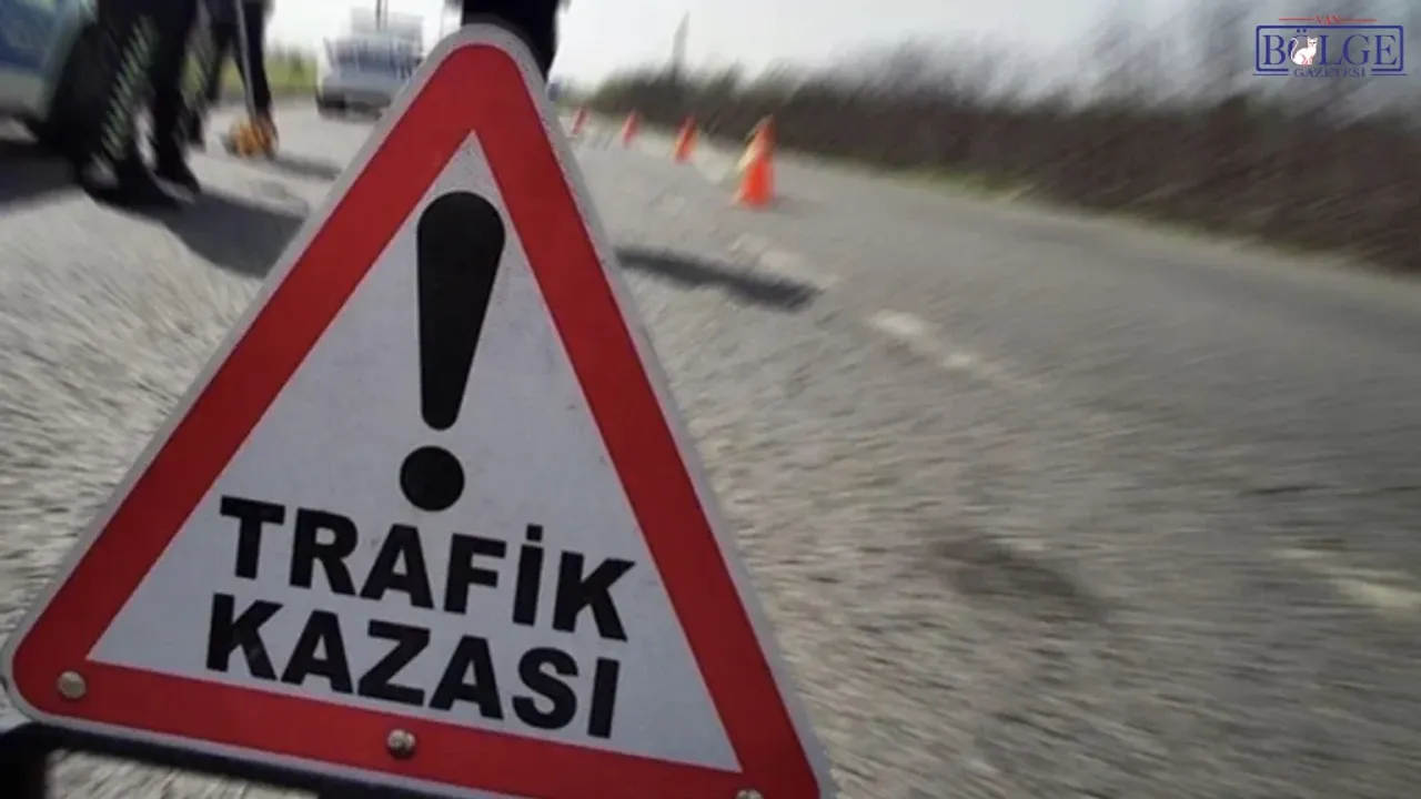 Genç çoban kamyonetin çarpması sonucu hayatını kaybetti