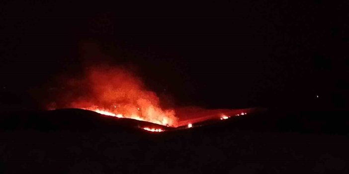 Silvan'da anız ve örtü yangını
