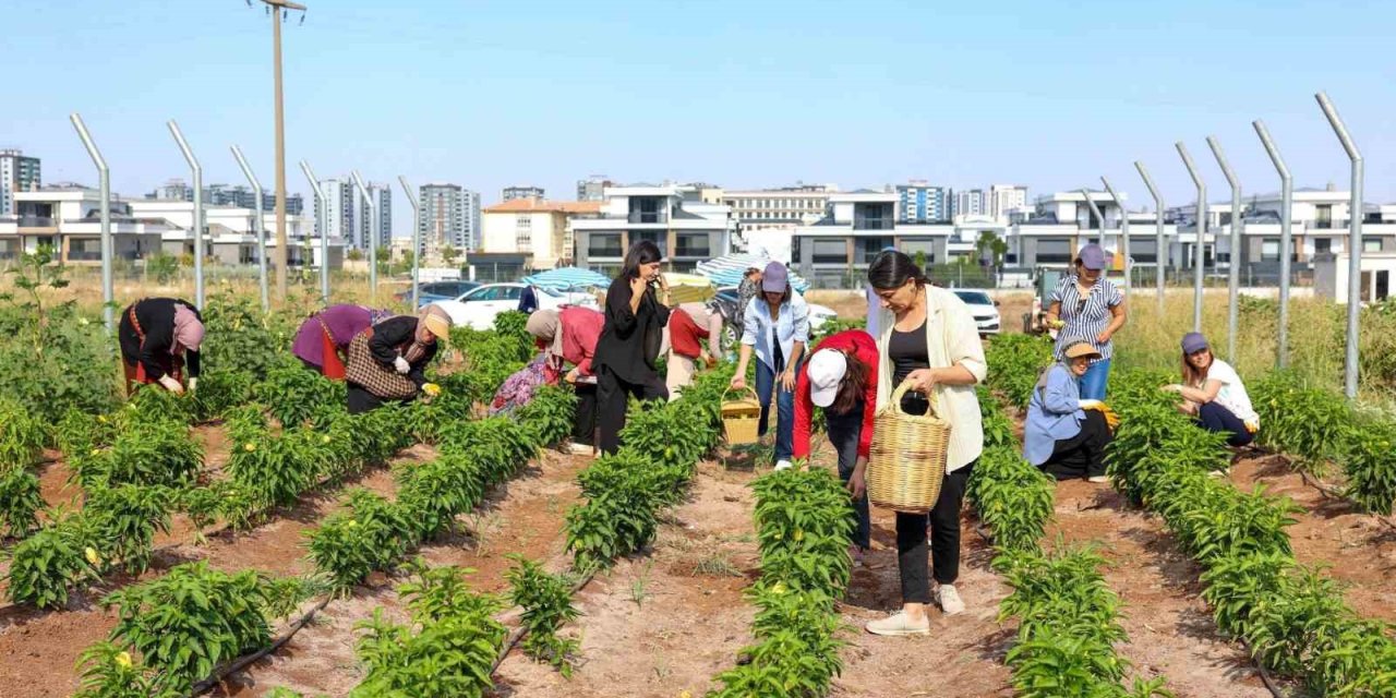 Eşbaşkan Bucak üretici kadınlarla bir araya geldi