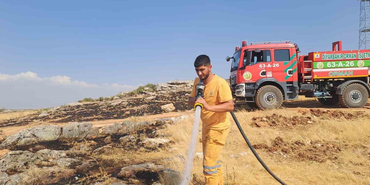 Diyarbakır’da 400 dönüm alanı küle çeviren yangın kontrol altına alındı