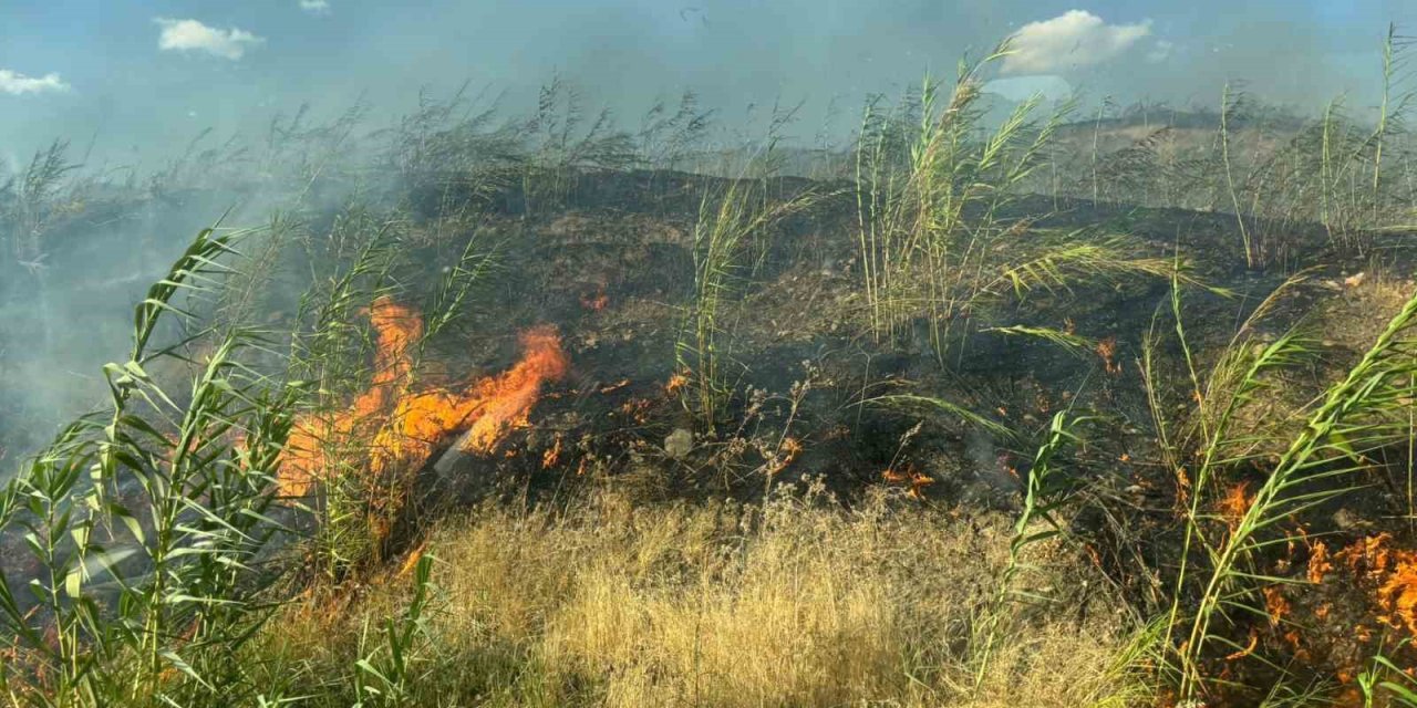 Şırnak’taki örtü ve orman yangını kontrol altına alındı