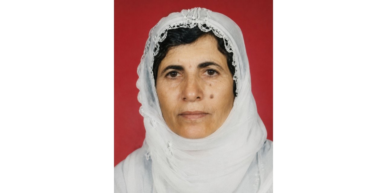 Mardin’de eve giren maskeli kişilerin saldırısına uğrayan yaşlı kadın ağır yaralandı