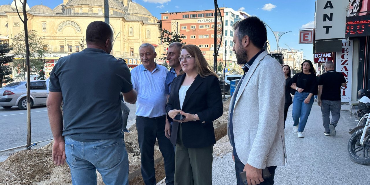 Kırmızıgül: Doğalgaz çalışmalarına sahip çıkmalıyız