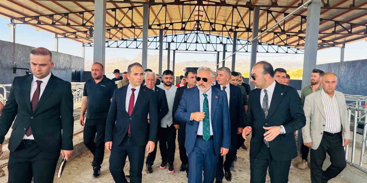 Şırnak’ta 7 süt sığırcılığı işletmesi yerinde incelendi