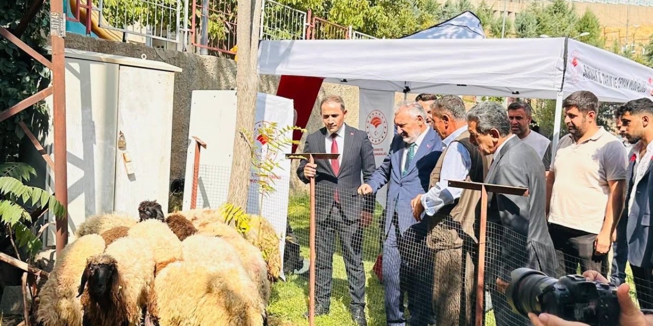 Şırnak’ta üreticilere 152 bin sebze fidesi ve çoban çantası dağıtıldı
