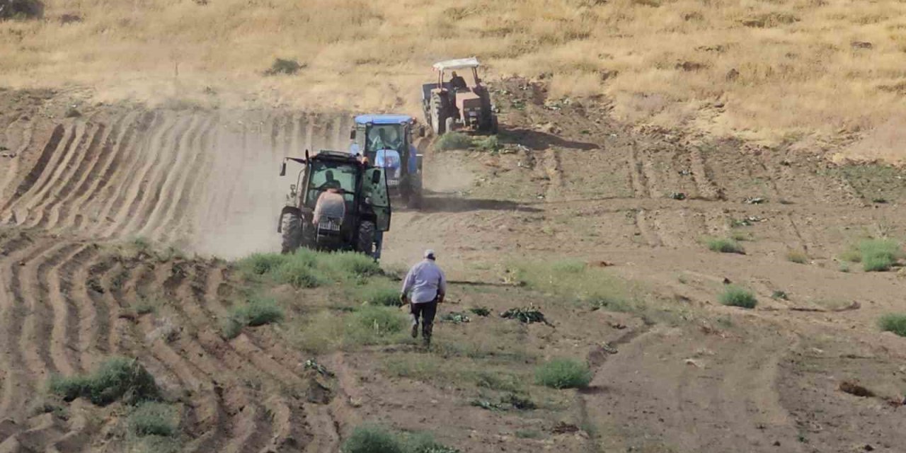 Adilcevaz’da buğday ekim sezonu başladı