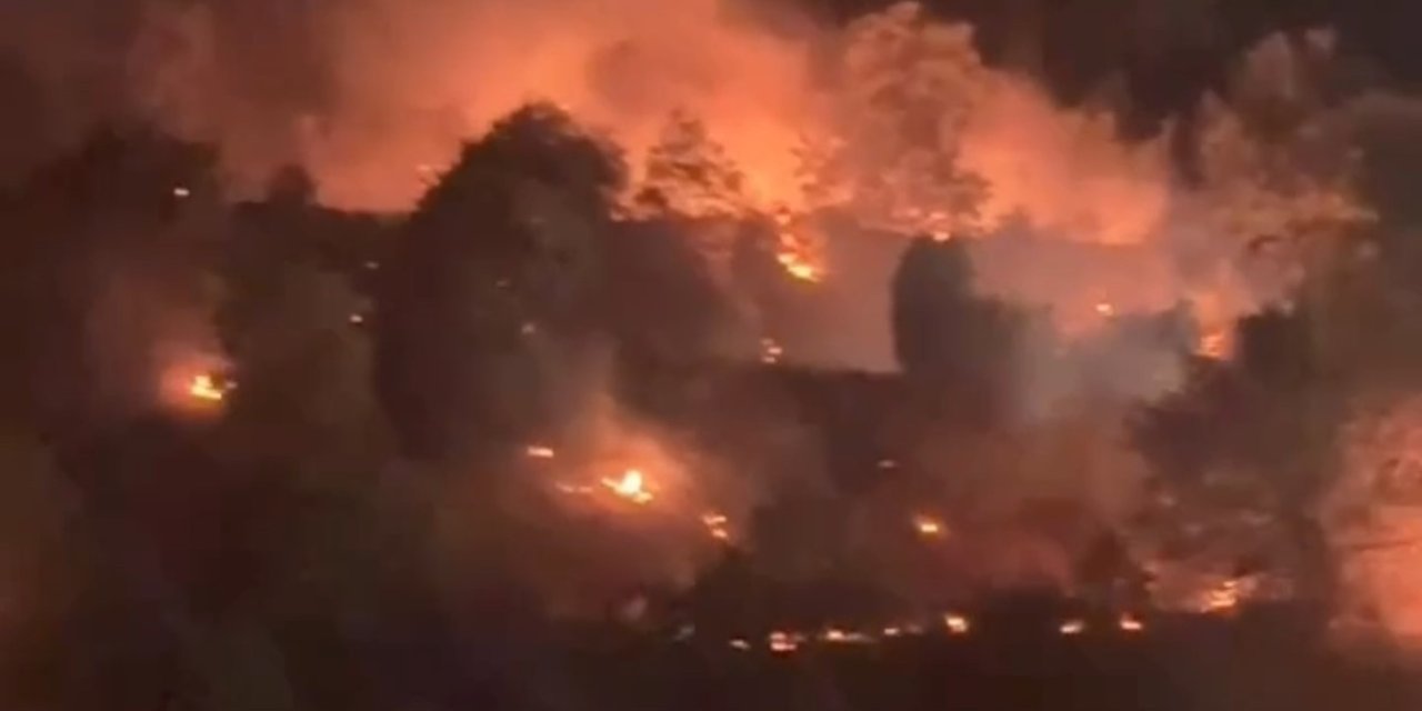 Yüksekova’da ağaçlık alanda çıkan yangın kontrol altına alındı