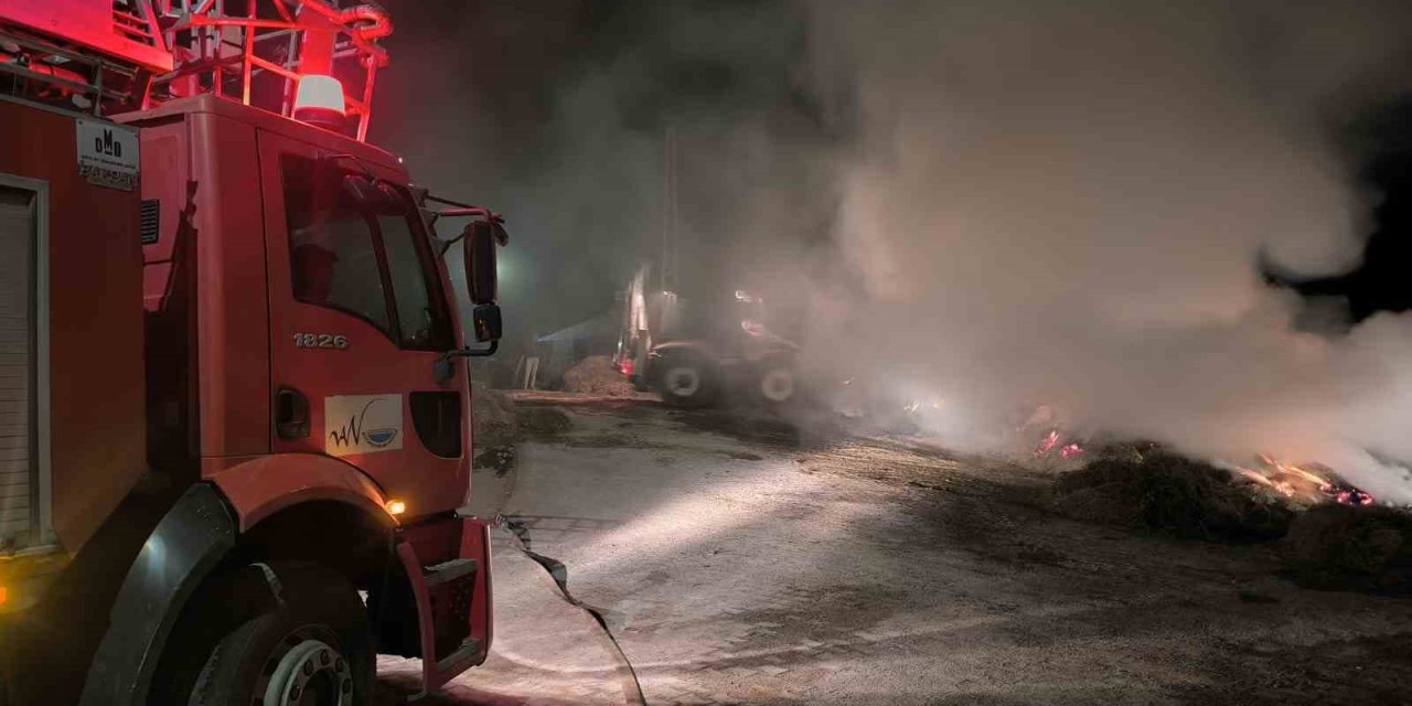 Van’da 2 bin 500 bağ ot kül oldu