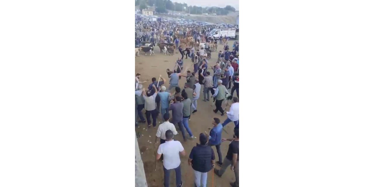 Diyarbakır Canlı Hayvan Borsası’nda kavga