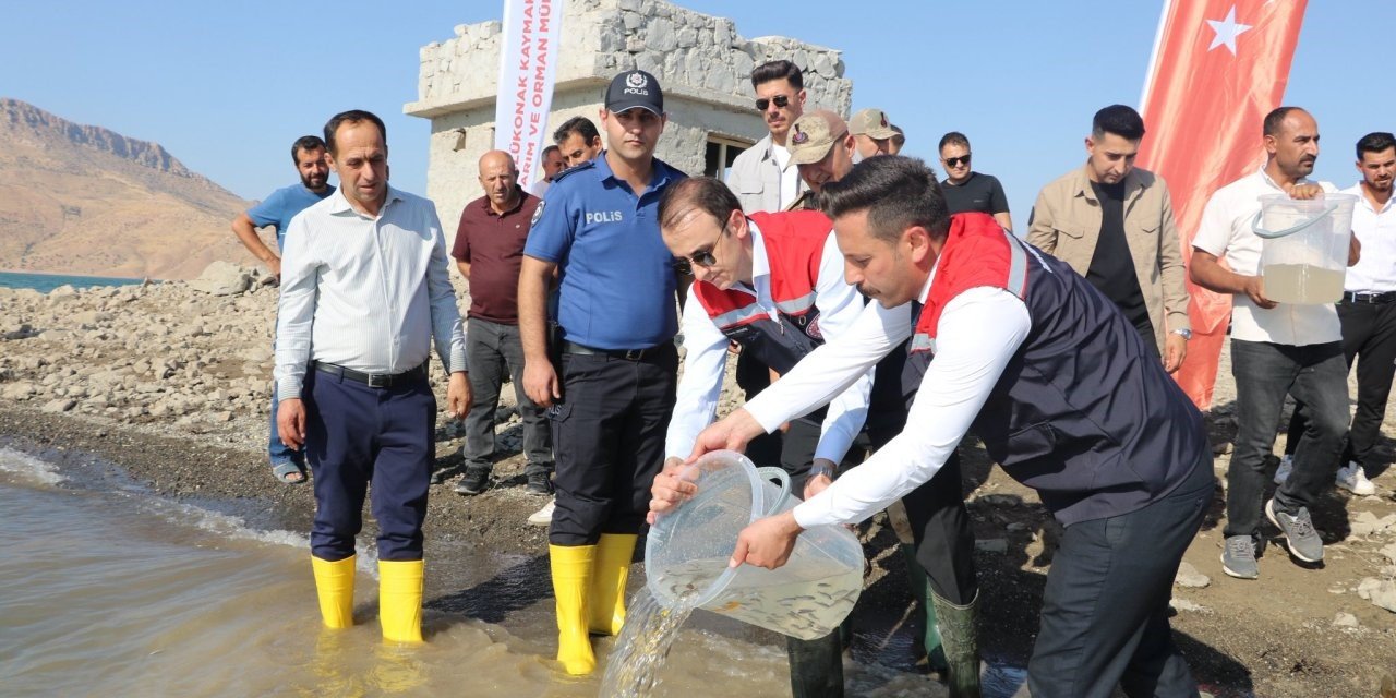 Şırnak’ta Ilısu Baraj Gölü’ne 800 bin yavru şabut balığı bırakıldı