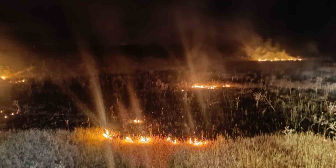 Van’da örtü üstü yangını