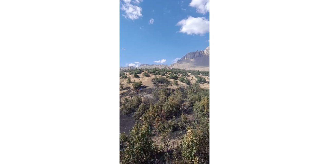 Beytüşşebap’ta orman yangını