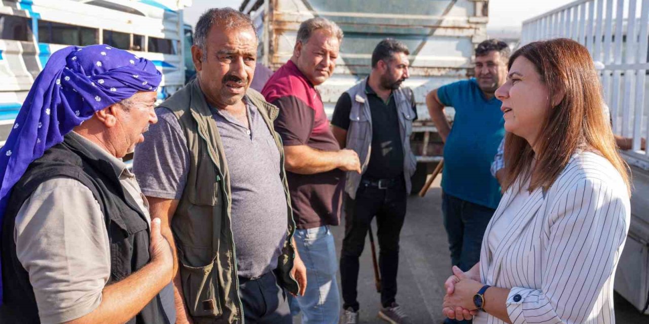 Eşbaşkan Bucak, hayvan borsasında inceleme yaptı