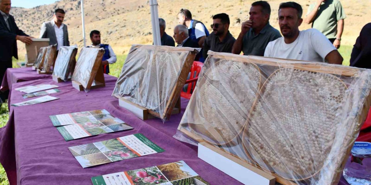Şırnak’ta Bal Festivali yapıldı