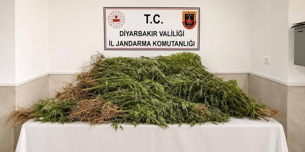 Diyarbakır’da 14 bin kök kenevir, 129 kilo esrar ele geçirildi