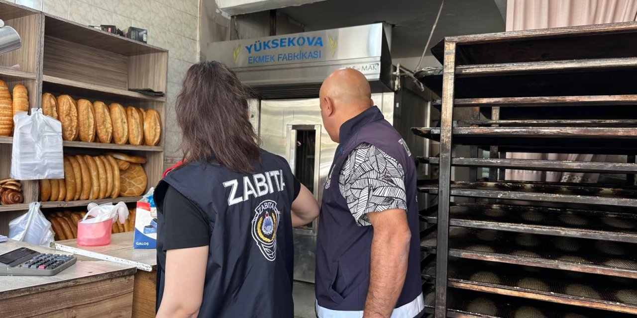 Yüksekova’da tarihi geçmiş ürünler imha edildi