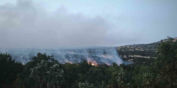 Silvan ile Lice ilçeleri arasındaki ormanlık alanda yangın