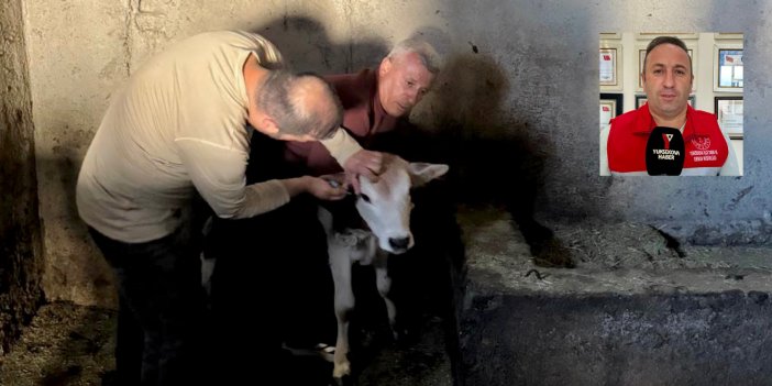 Yüksekova’da hayvanlara yönelik aşılama ve sağlık taraması sürüyor
