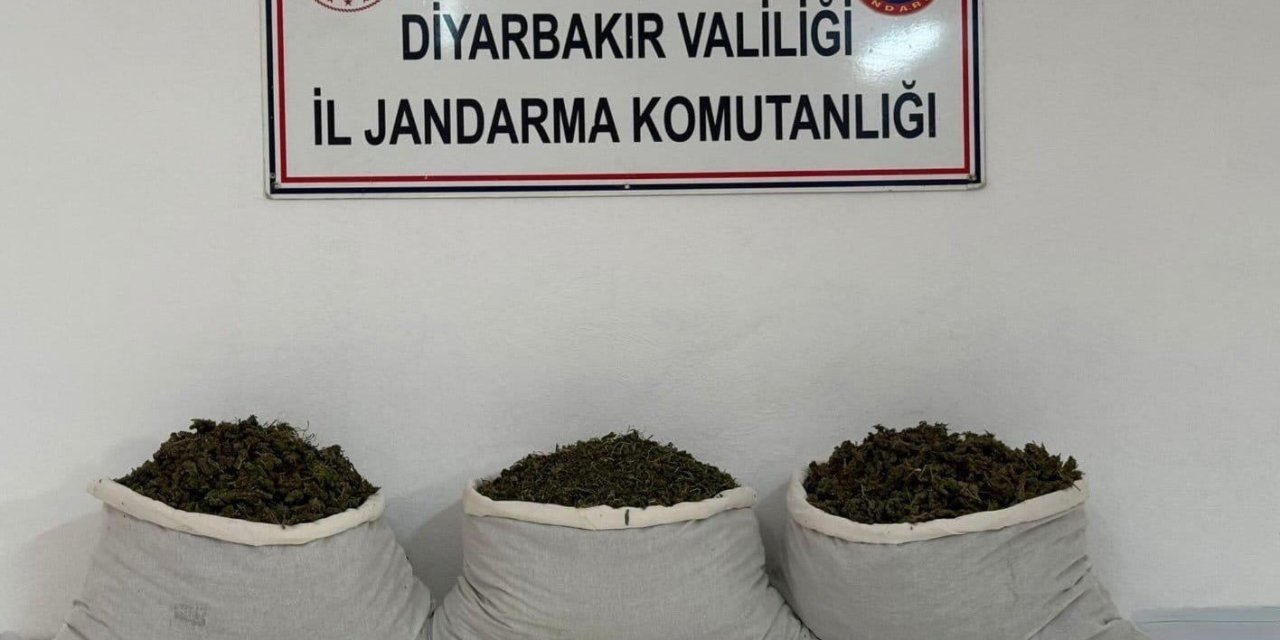 Diyarbakır’da 253 bin kök kenevir ve 42 kilo esrar ele geçirildi