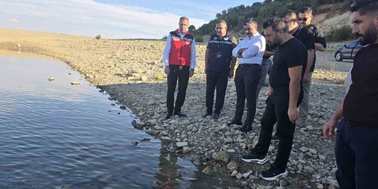 Kralkızı Barajına 820 bin yavru balık bırakıldı