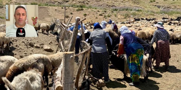 Yüksekova’da şap hastalığının yayılmasına karşı önlem uyarısı