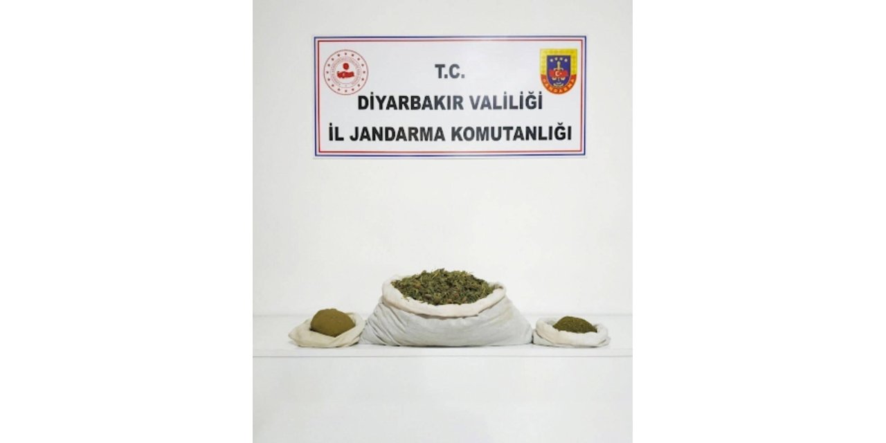 Diyarbakır’da 144 bin 398 kök kenevir ele geçirildi