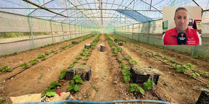 Yüksekova’da “Seracılık Gelişiyor Projesi” için başvurular başladı