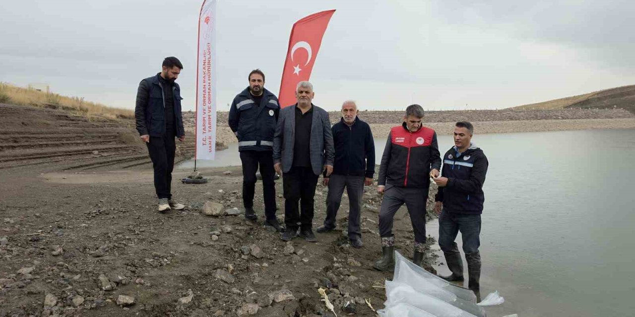 Van’ın su ürünleri sektöründen ekonomiye 25 milyon dolarlık katkı