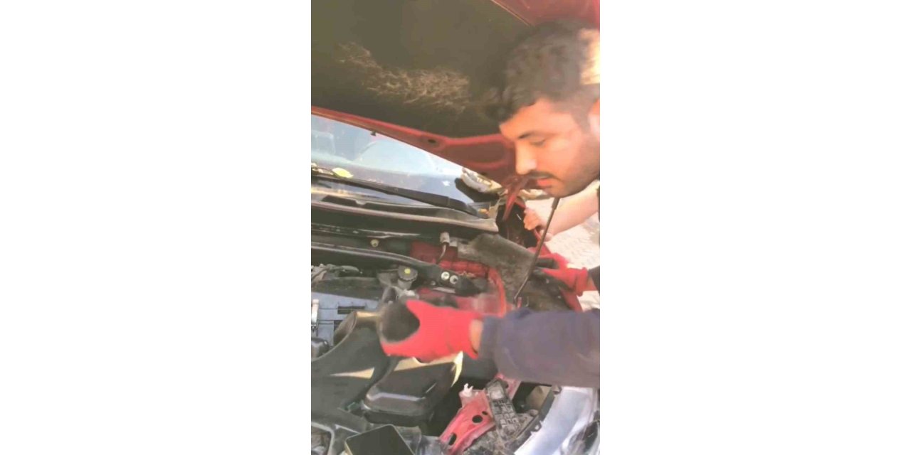 Diyarbakır'da aracın motoruna giren 3 yavru kedi itfaiye ekiplerince kurtarıldı