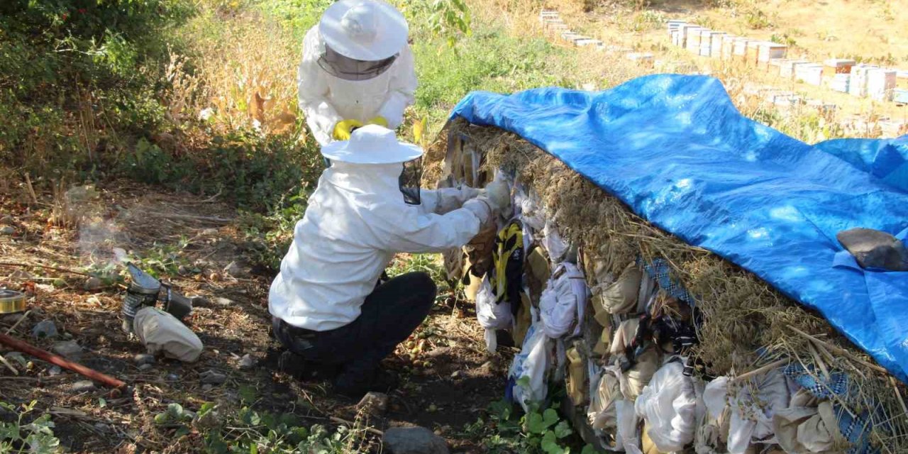 Şırnak’ın arıcılar rekor hasada hazırlanıyor