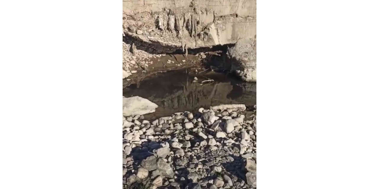 Yüksekova’da binlerce balık susuzluk tehlikesiyle karşı karşıya