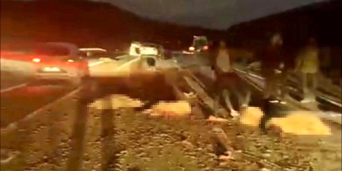 Yüksekova’da otomobil koyun sürüsüne çarptı: 20 koyun öldü