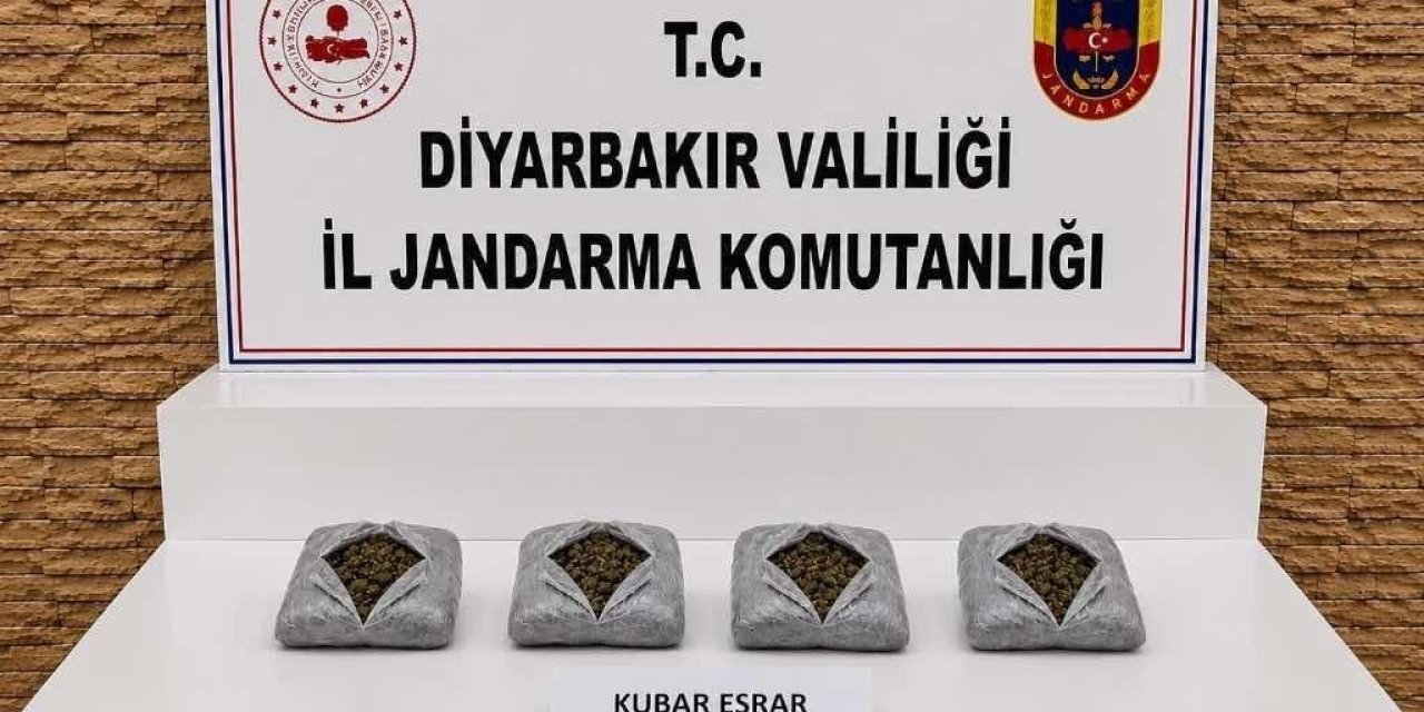 Diyarbakır’da 57 bin 700 kök kenevir ele geçirildi
