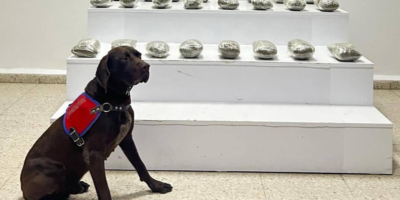 Başkale’de 10 kilo toz esrar ele geçirildi