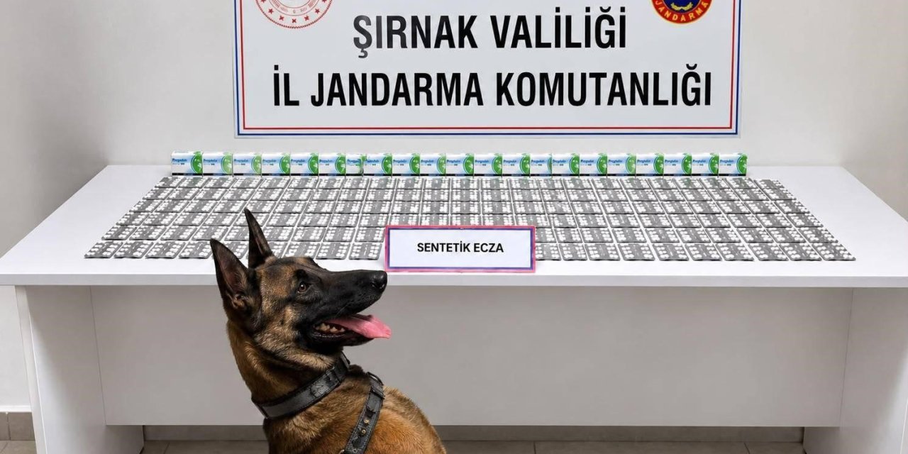 Şırnak’ta jandarmadan uyuşturucu ve aranan şahıslara operasyon: 12 tutuklama